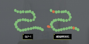 체내 호르몬 GLP-1  위노비의 구성 모습 이미지